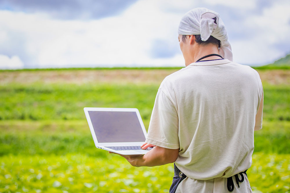 【農業】他企業はビッグデータをどう活用してる？業種別に見るビッグデータの活用事例10選